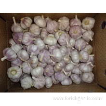 Health Benefits Fresh Garlic 2019